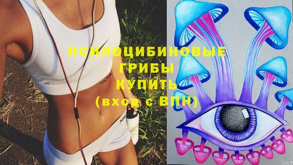 МДМА Заволжск